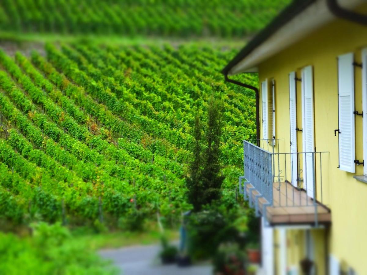 Weingut Und Hotel Haus Am Drachenloch Bad Honnef Kültér fotó