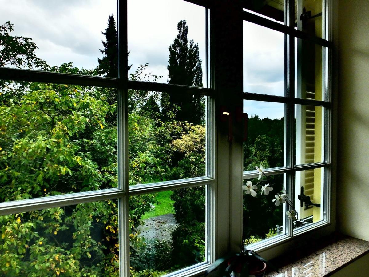 Weingut Und Hotel Haus Am Drachenloch Bad Honnef Kültér fotó