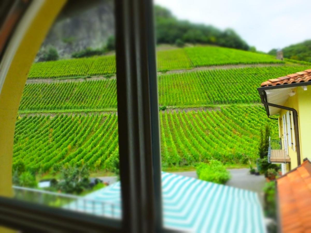 Weingut Und Hotel Haus Am Drachenloch Bad Honnef Kültér fotó