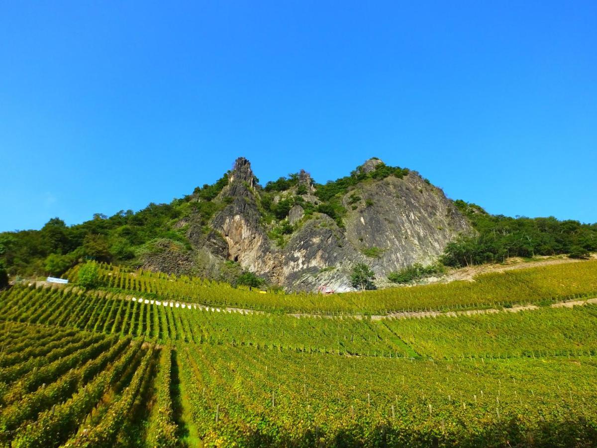 Weingut Und Hotel Haus Am Drachenloch Bad Honnef Kültér fotó