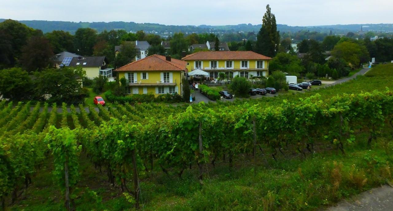 Weingut Und Hotel Haus Am Drachenloch Bad Honnef Kültér fotó